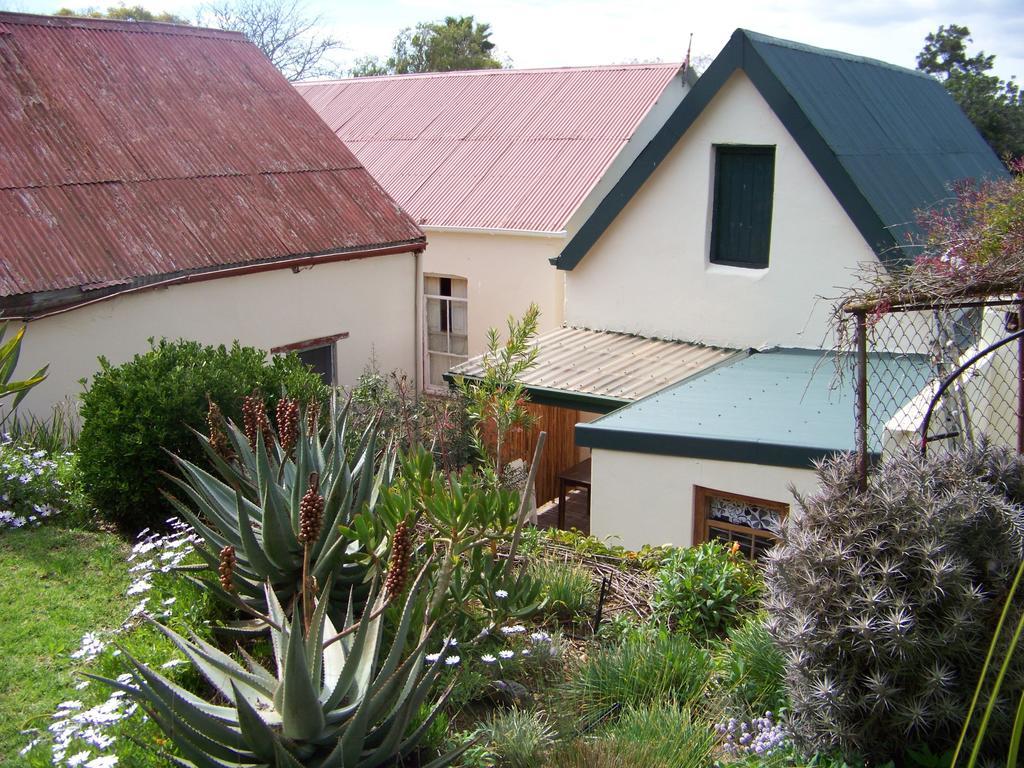 Lemontree Cottage 하이델버그 외부 사진