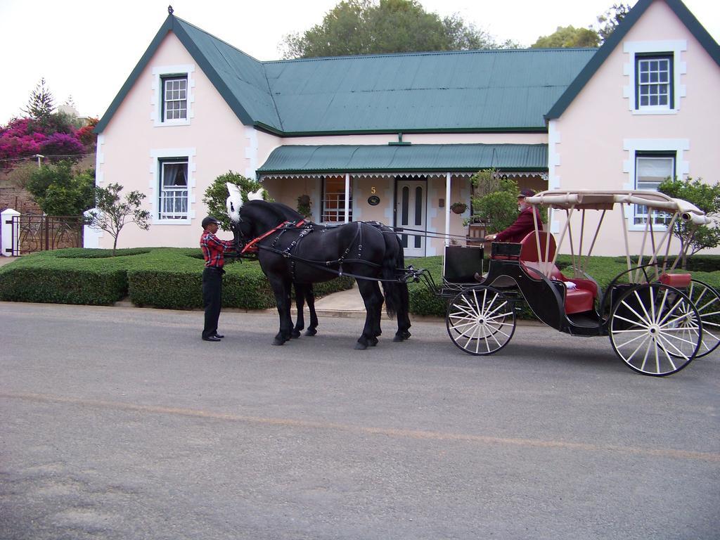 Lemontree Cottage 하이델버그 외부 사진